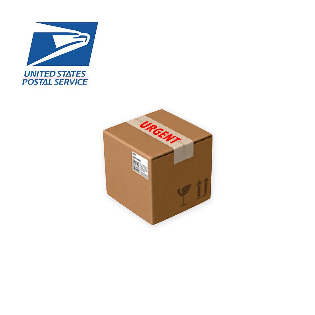 Expedited Delivery Within Continental United States via USPS (Small Package)